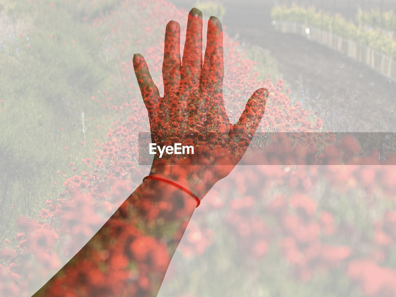 CLOSE-UP OF HAND ON PLANT AGAINST RED WALL