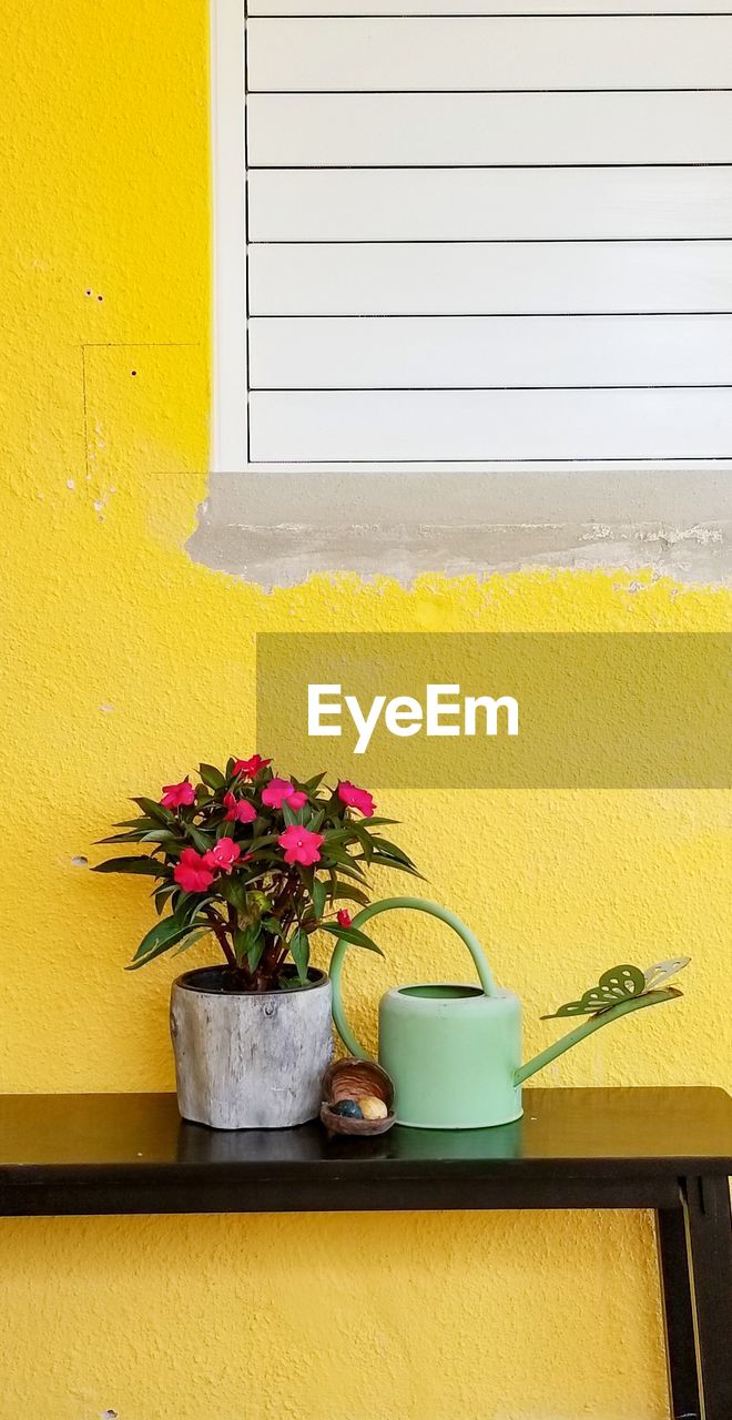 Potted plant with watering can on table by yellow wall