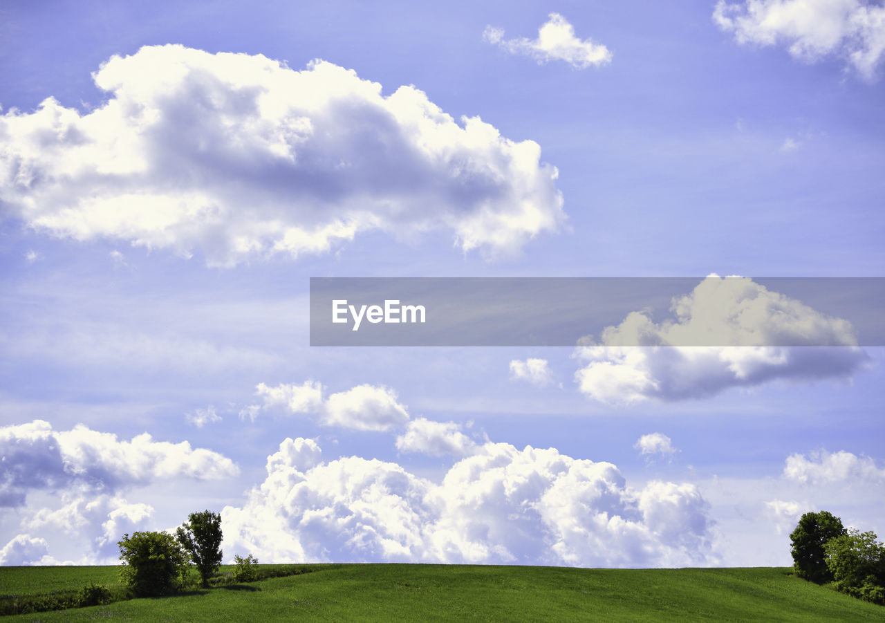 sky, cloud, environment, plant, landscape, horizon, grass, grassland, field, nature, plain, tree, land, beauty in nature, scenics - nature, meadow, green, prairie, tranquility, blue, hill, tranquil scene, rural scene, cloudscape, no people, rural area, day, sunlight, summer, non-urban scene, outdoors, pasture, horizon over land, idyllic, springtime, lawn, agriculture, landscaped, white