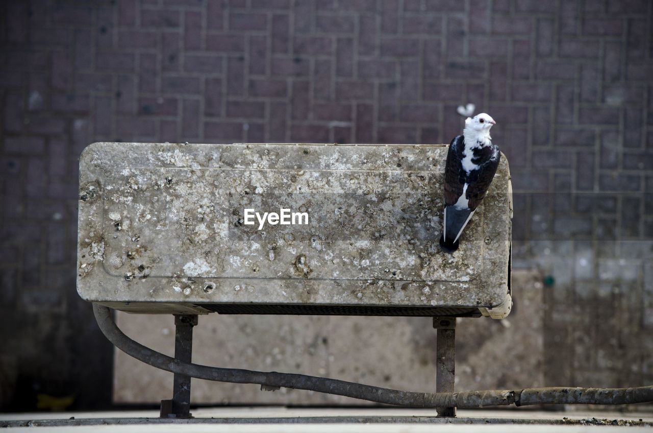 Directly above shot of pigeon perching on air conditioner against footpath