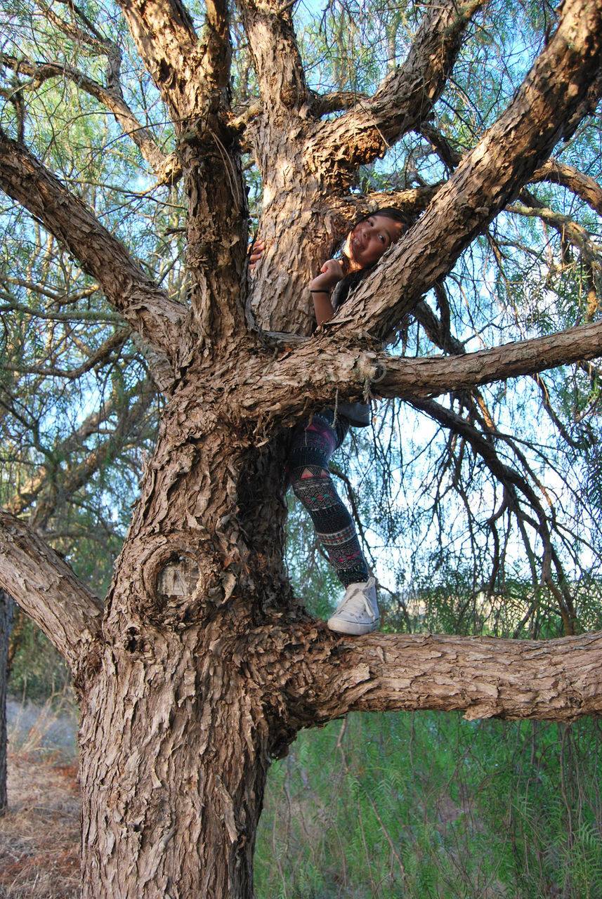 Young girl on tree