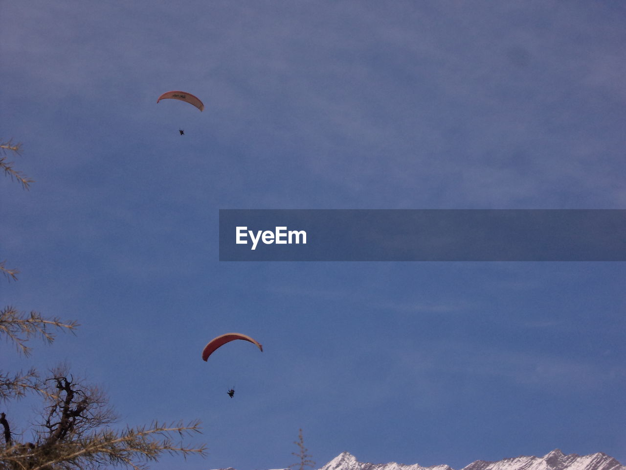 LOW ANGLE VIEW OF PERSON FLYING BIRD AGAINST SKY