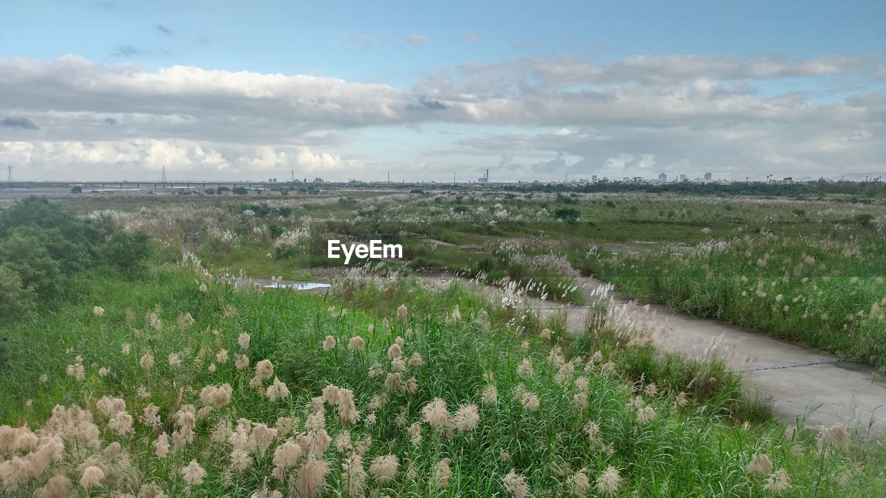 SCENIC VIEW OF FARM AGAINST SKY