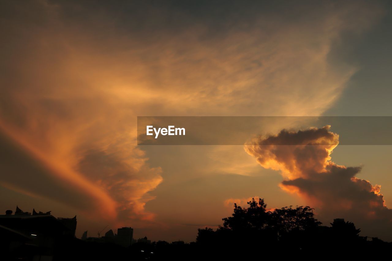 LOW ANGLE VIEW OF SILHOUETTE TREES AGAINST SKY AT SUNSET