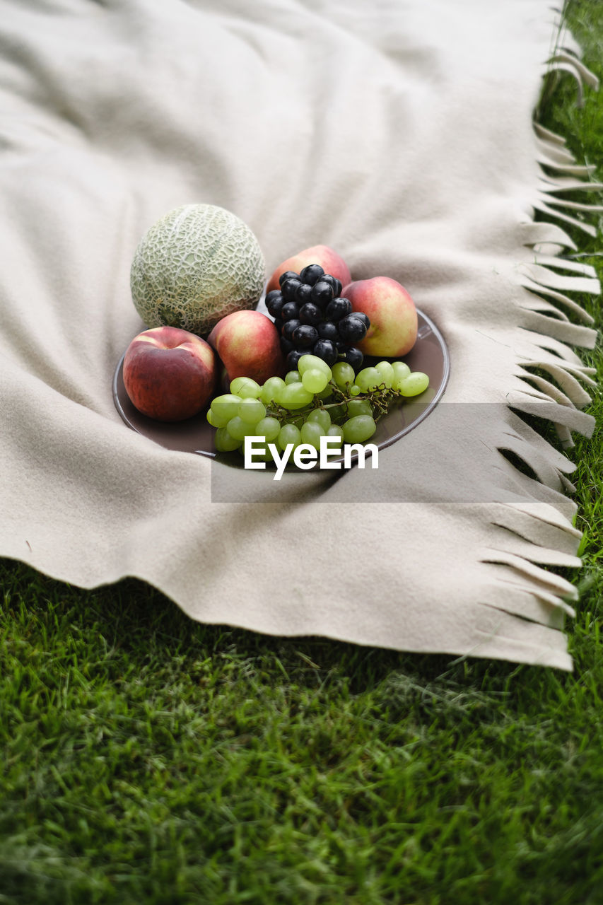 Fresh fruits on the plate on the blanket outdoors in the park. summer grape, peach, melon. picnic