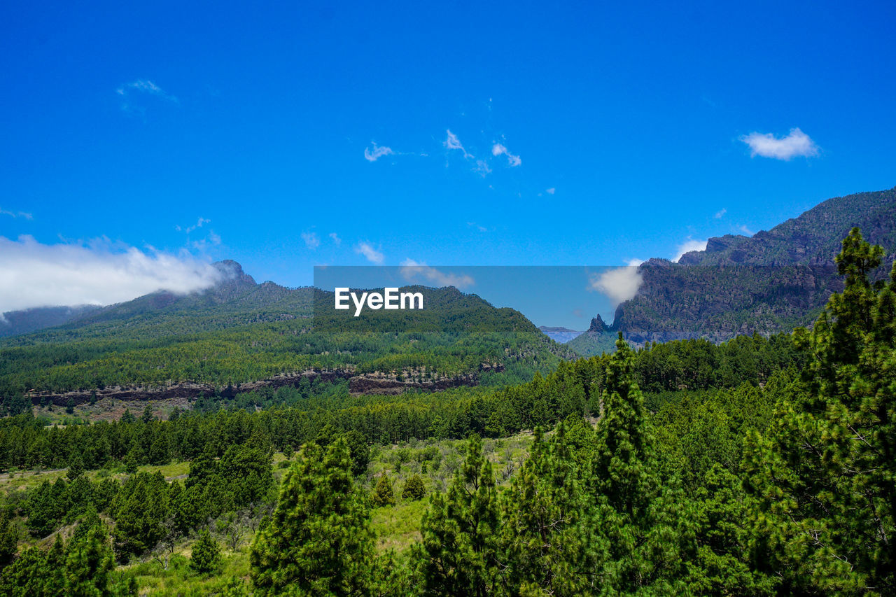 PANORAMIC VIEW OF LANDSCAPE AGAINST BLUE SKY