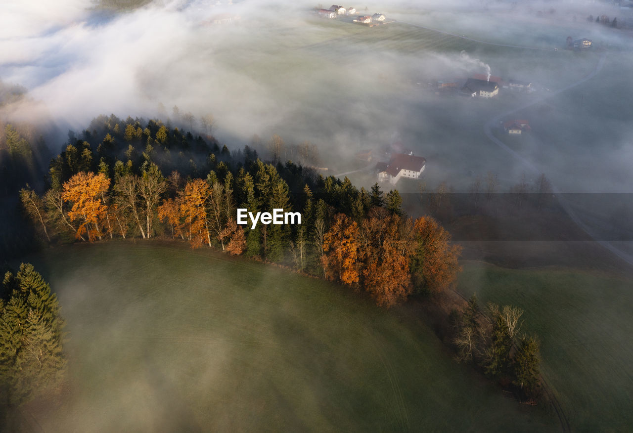 Austria, upper austria, mondsee, drone view of autumn grove in salzkammergut at foggy dawn