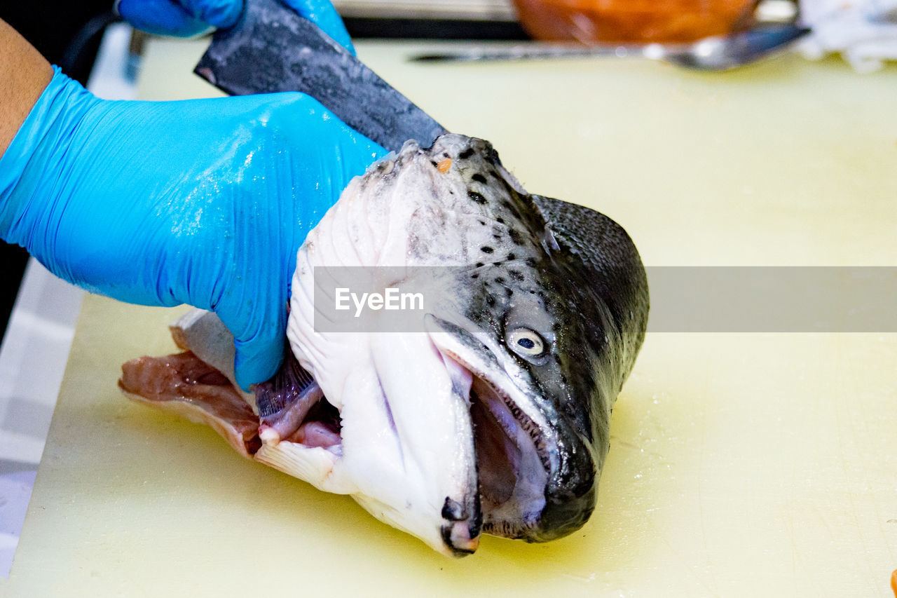 CLOSE-UP OF HAND FEEDING FISH