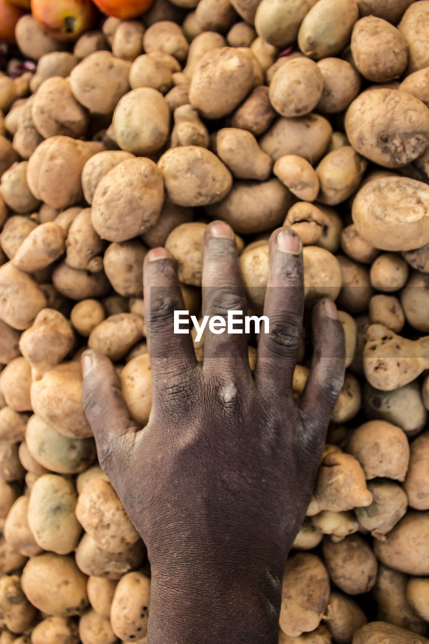 High angle view of human hand a potato pile