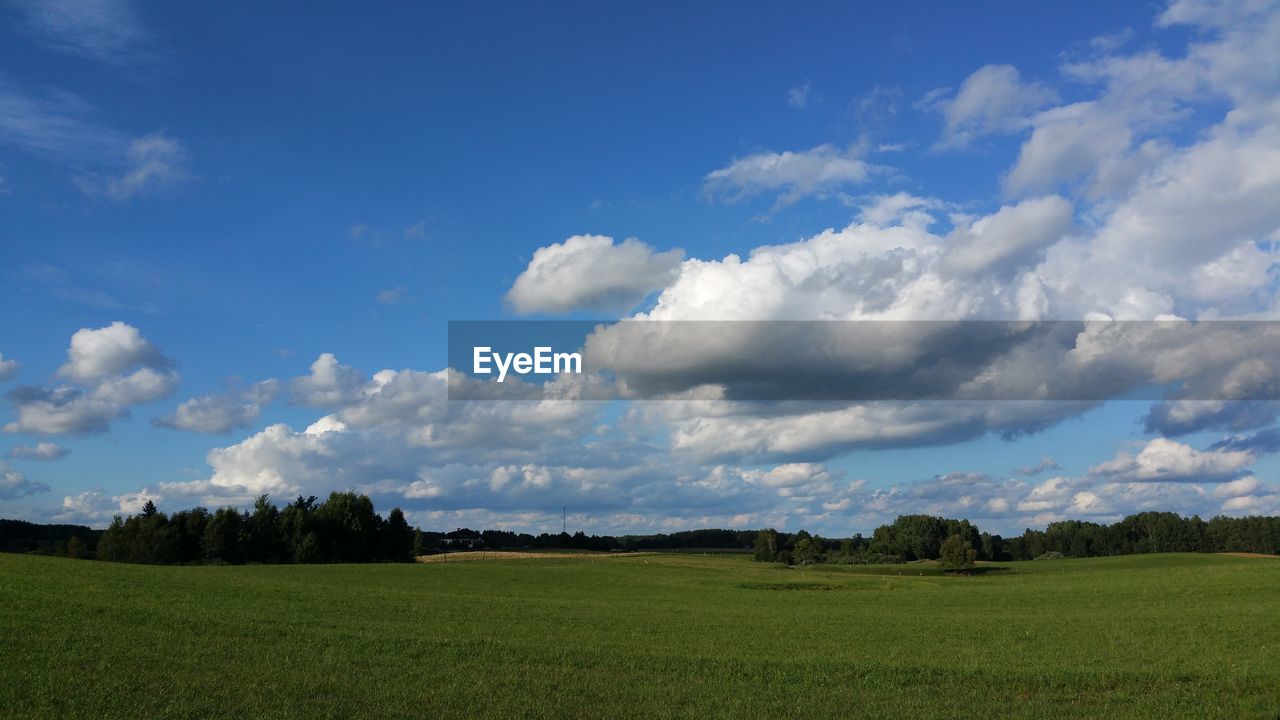 SCENIC VIEW OF FARM AGAINST SKY