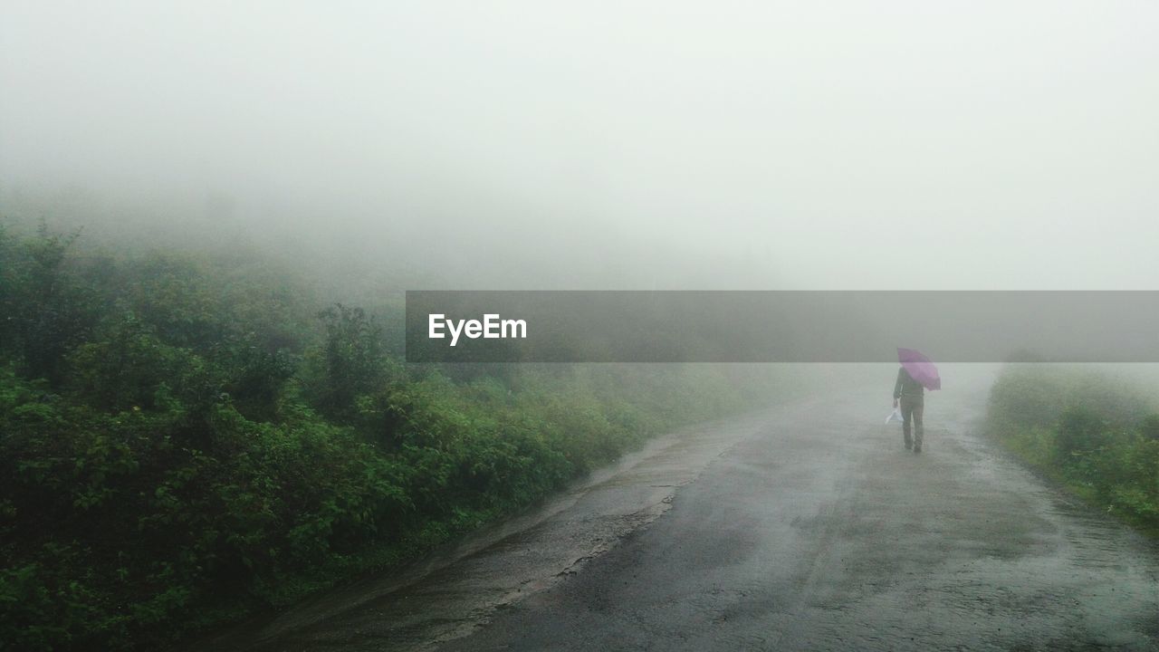 Rear view of man walking on road in foggy weather