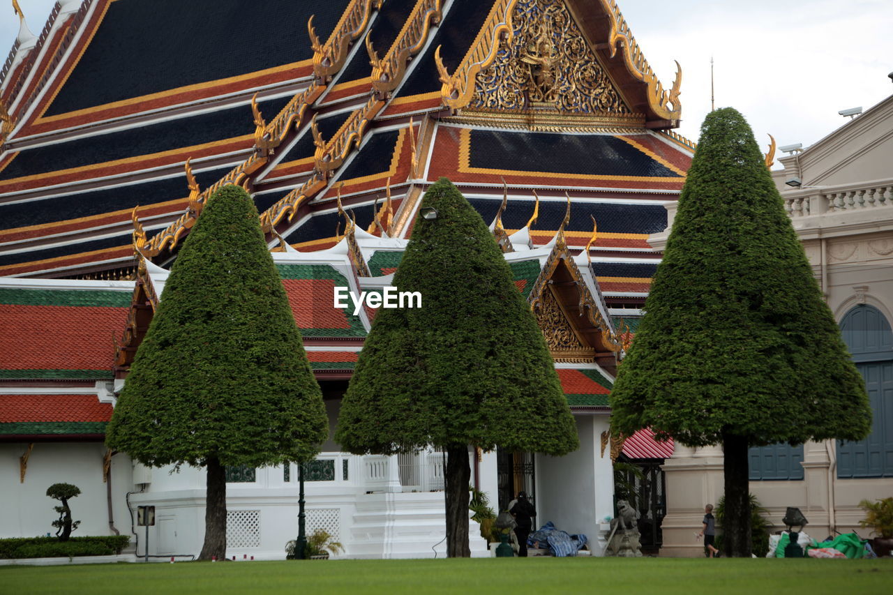 Trees against traditional building in bangkok