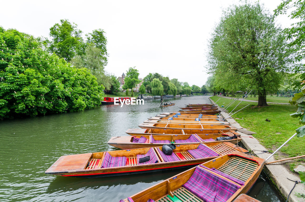 BOATS MOORED ON RIVER AGAINST TREES