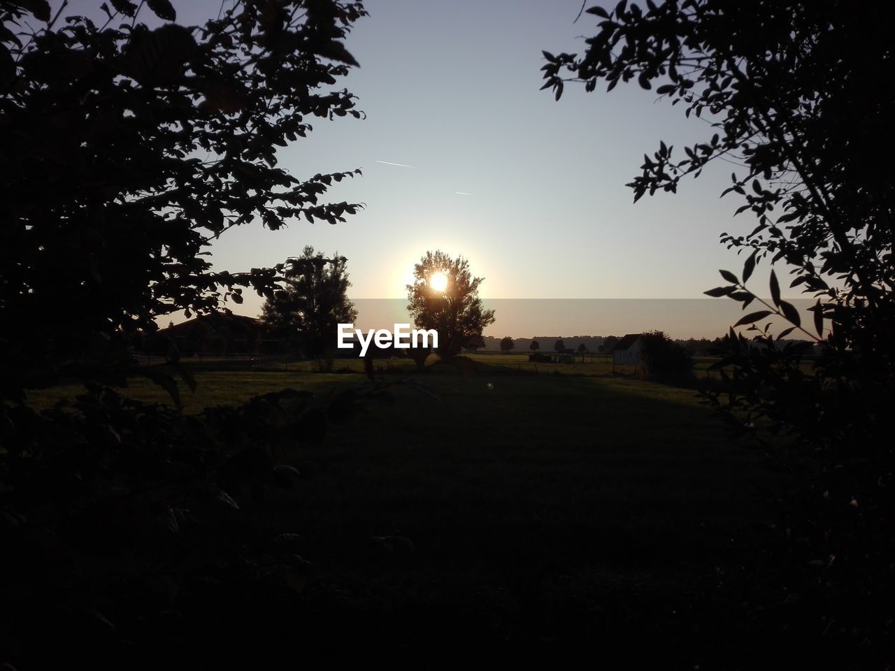 SILHOUETTE TREES ON FIELD AGAINST SKY