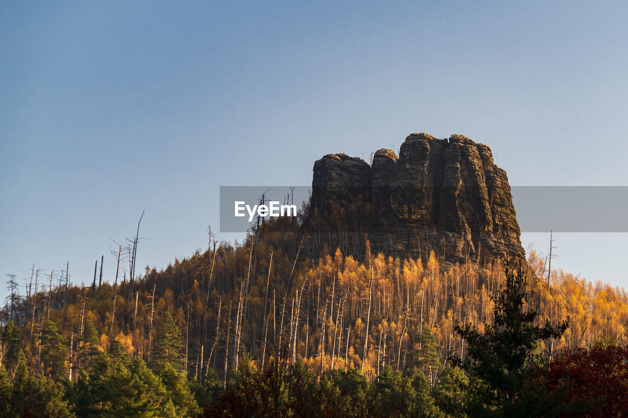 sky, mountain, plant, nature, tree, wilderness, scenics - nature, land, beauty in nature, landscape, rock, no people, environment, travel destinations, non-urban scene, autumn, clear sky, tranquility, travel, outdoors, forest, tranquil scene, rock formation, pine tree, pinaceae, blue, coniferous tree, natural environment, pine woodland, tourism, morning, ridge