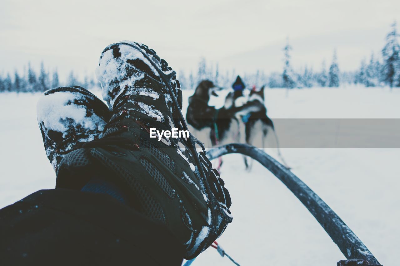 Close-up of person resting feet on sled