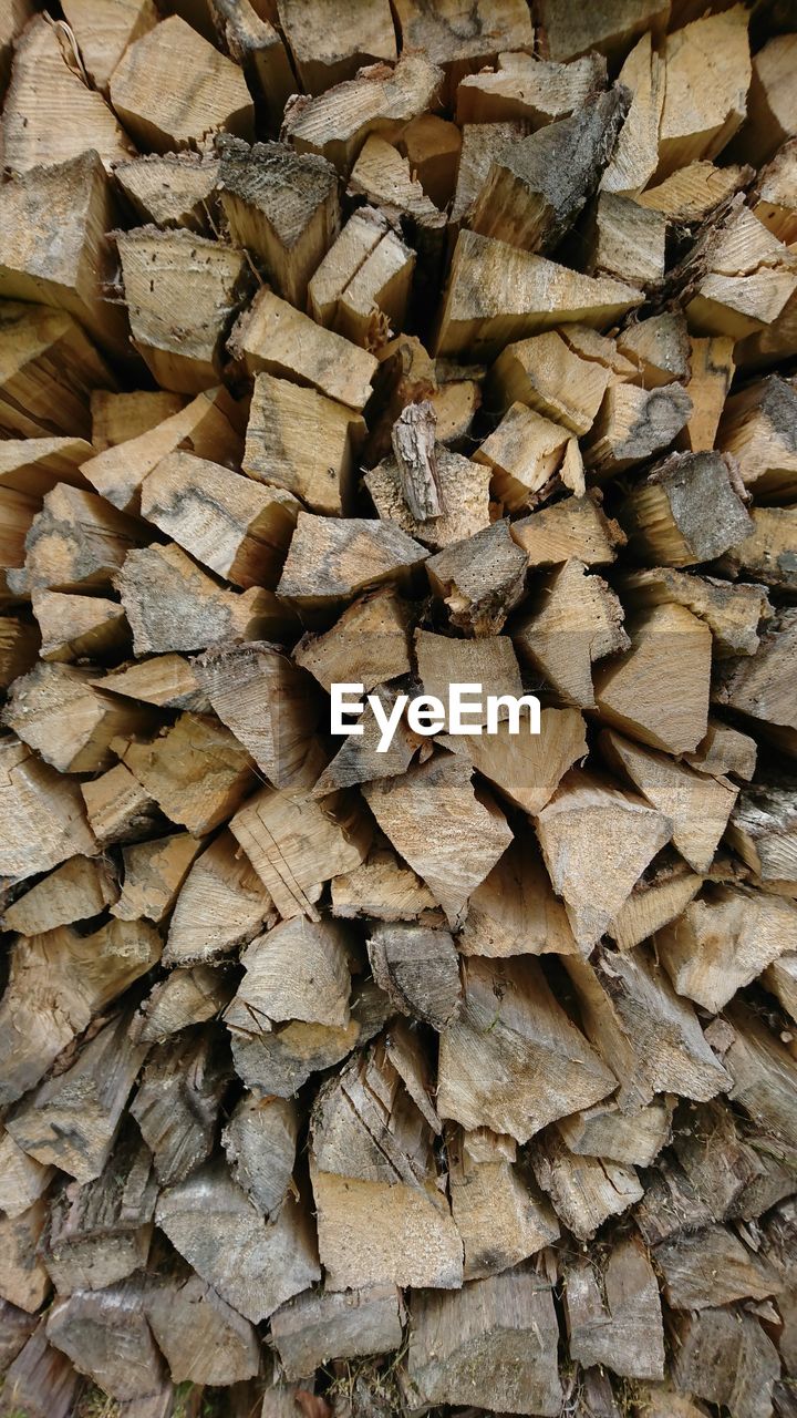 Full frame shot of logs in forest