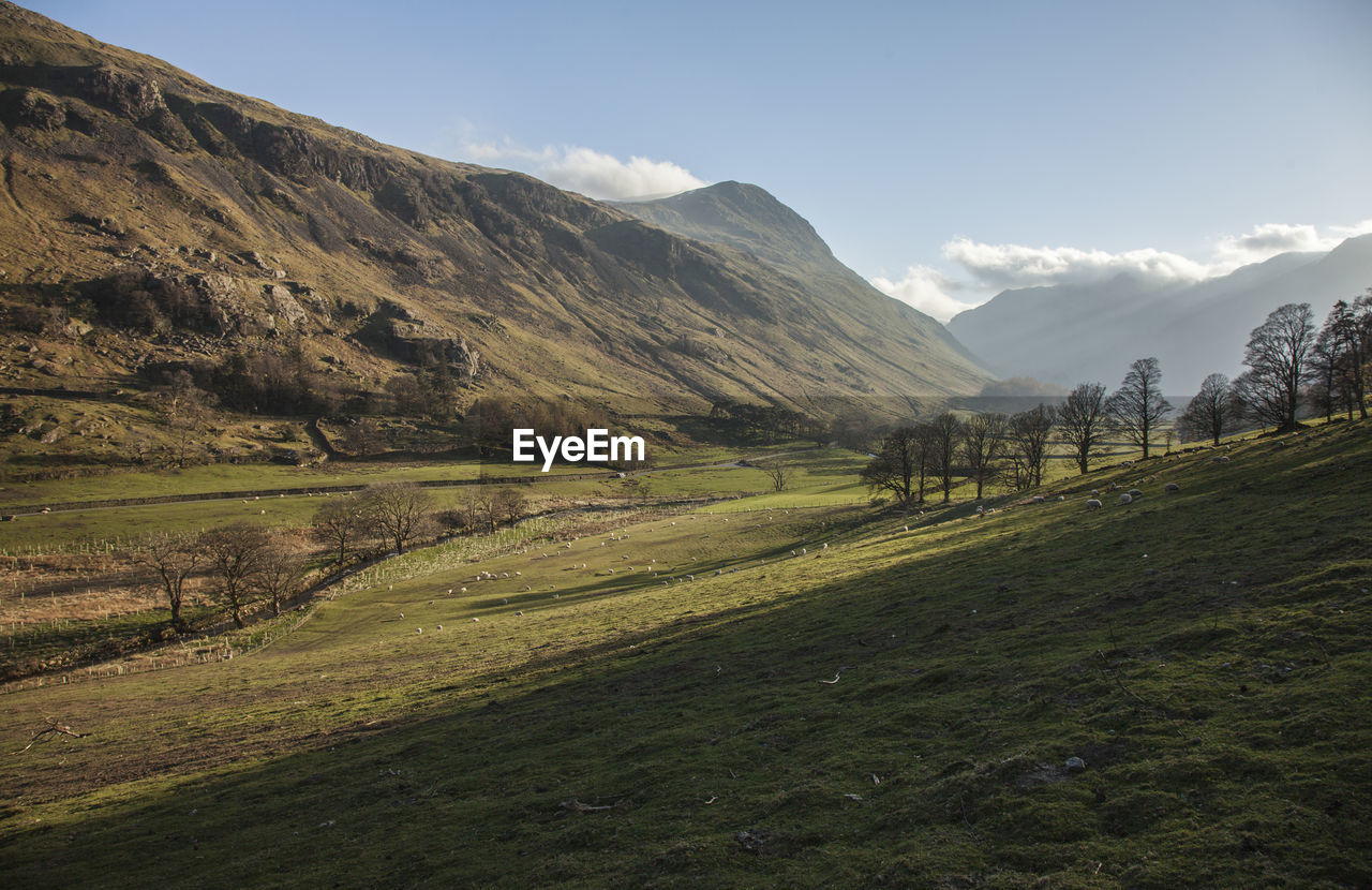 Scenic view of landscape and mountains against sky