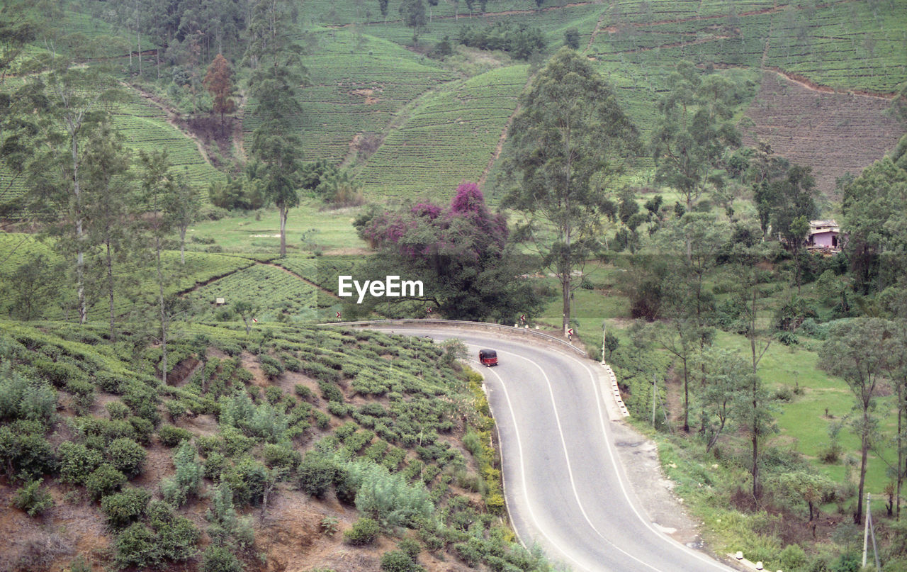 View of trees on landscape