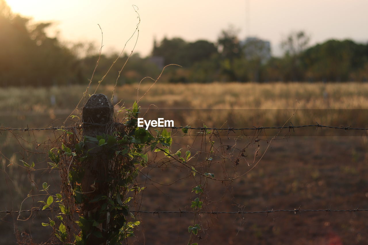 Close-up of barbed wire fence on field against sky