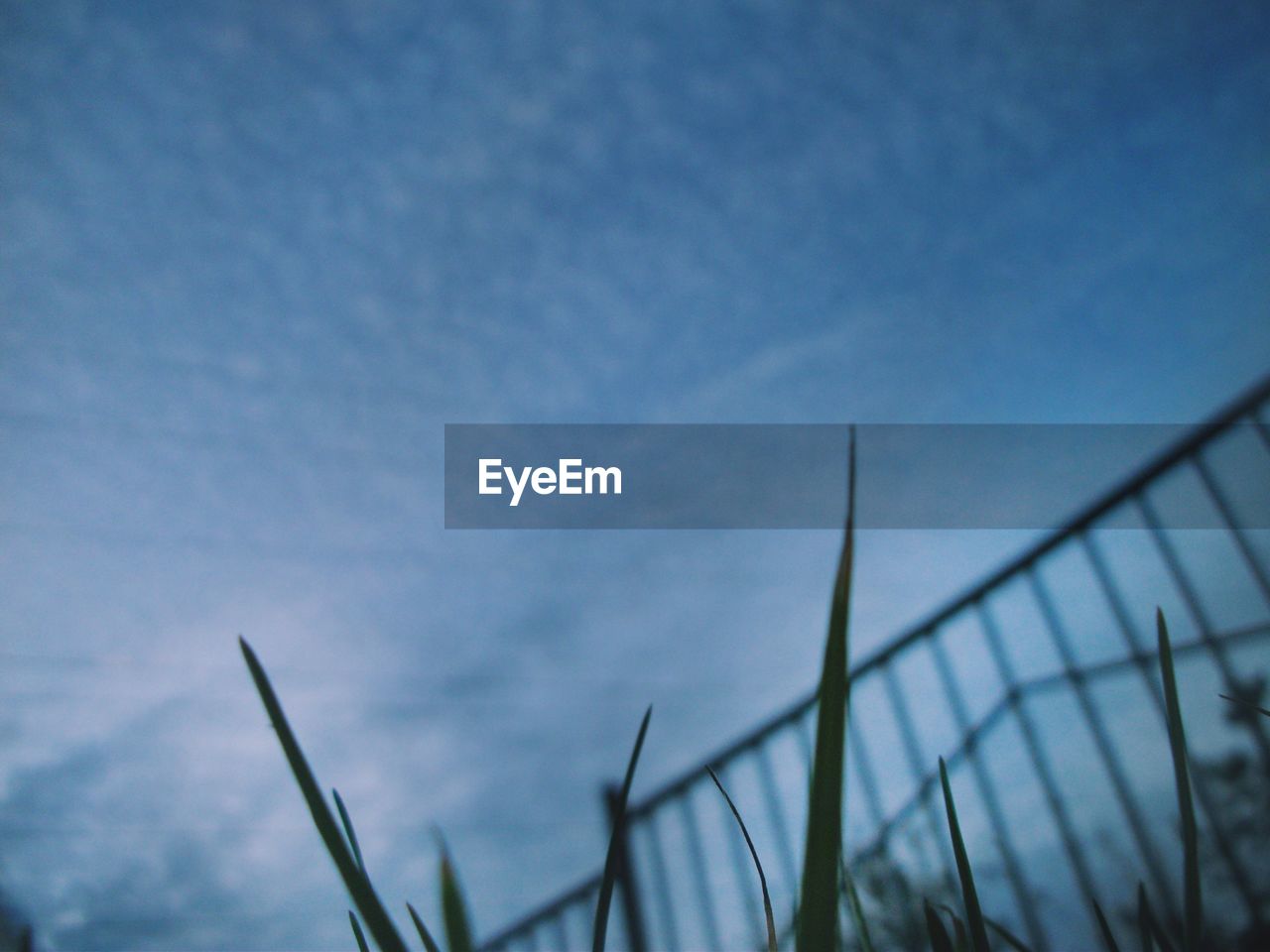 CLOSE-UP LOW ANGLE VIEW OF BLUE SKY