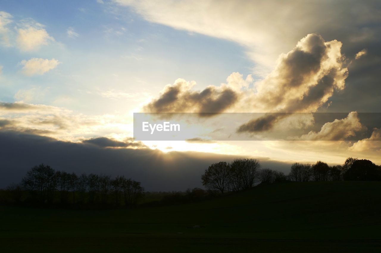 SILHOUETTE TREES ON LANDSCAPE AGAINST SKY