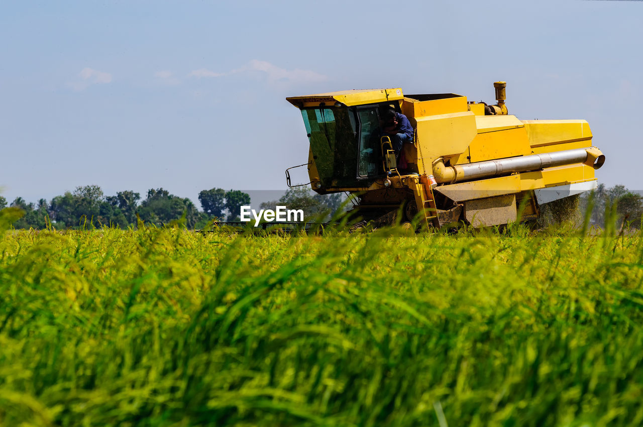 Farmer driving harvester on paddy field against sky