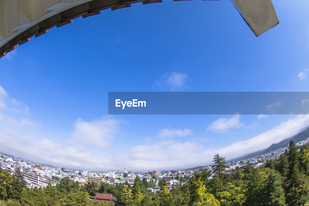 LOW ANGLE VIEW OF TREES AND BUILDINGS AGAINST SKY