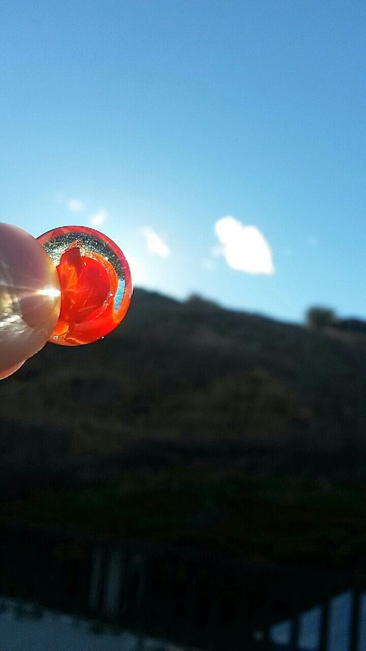 CLOSE-UP OF CROPPED OBJECT AGAINST SKY