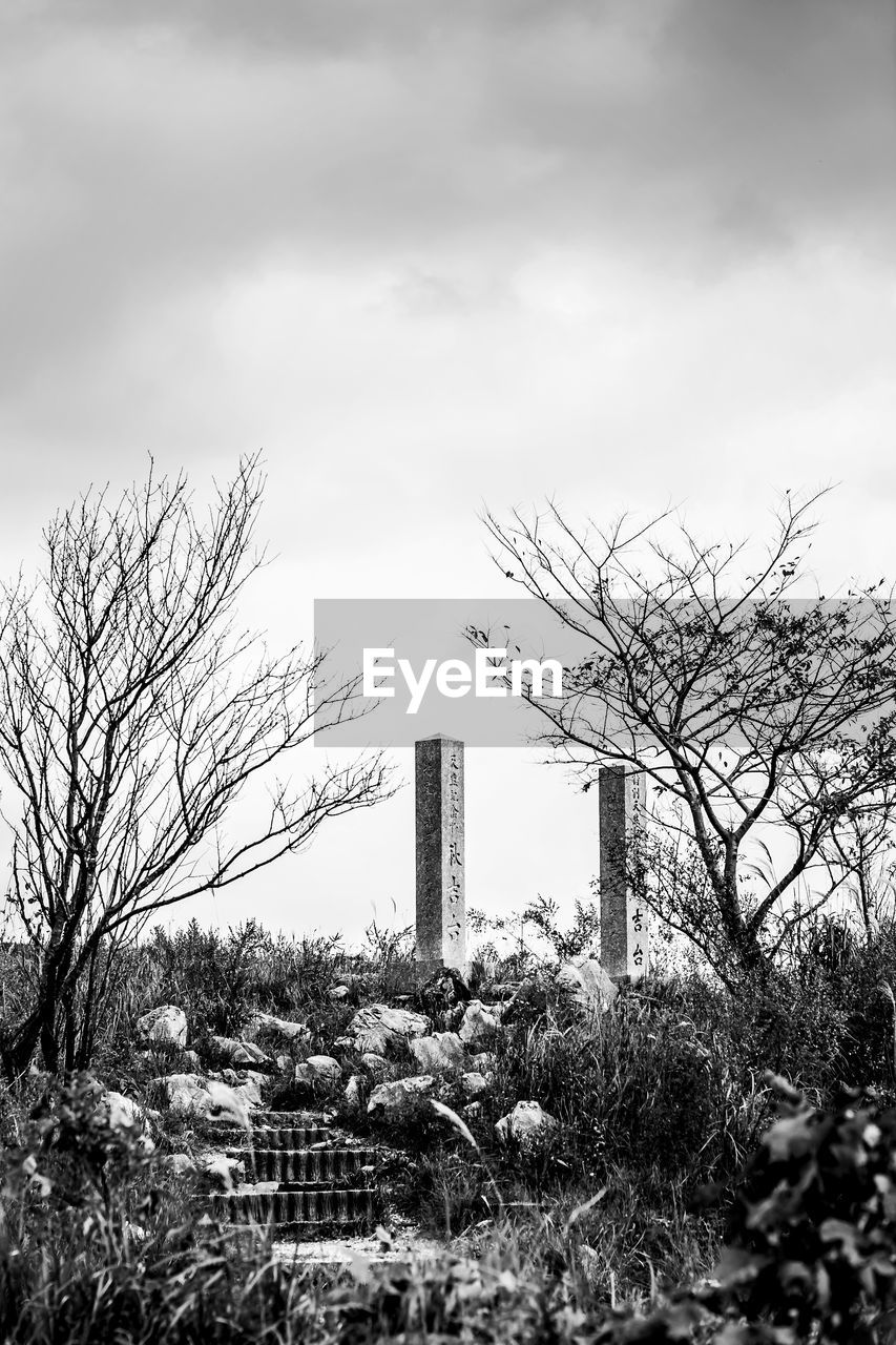 Bare trees on field against cloudy sky