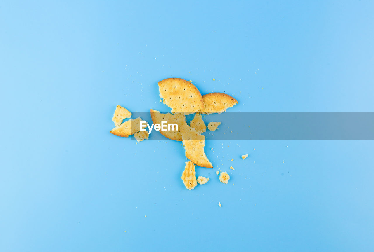 HIGH ANGLE VIEW OF YELLOW LEAF OVER WATER