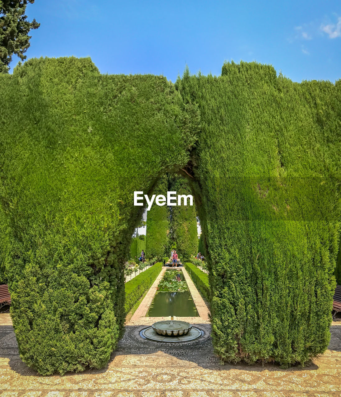 GREEN PLANTS GROWING IN PARK