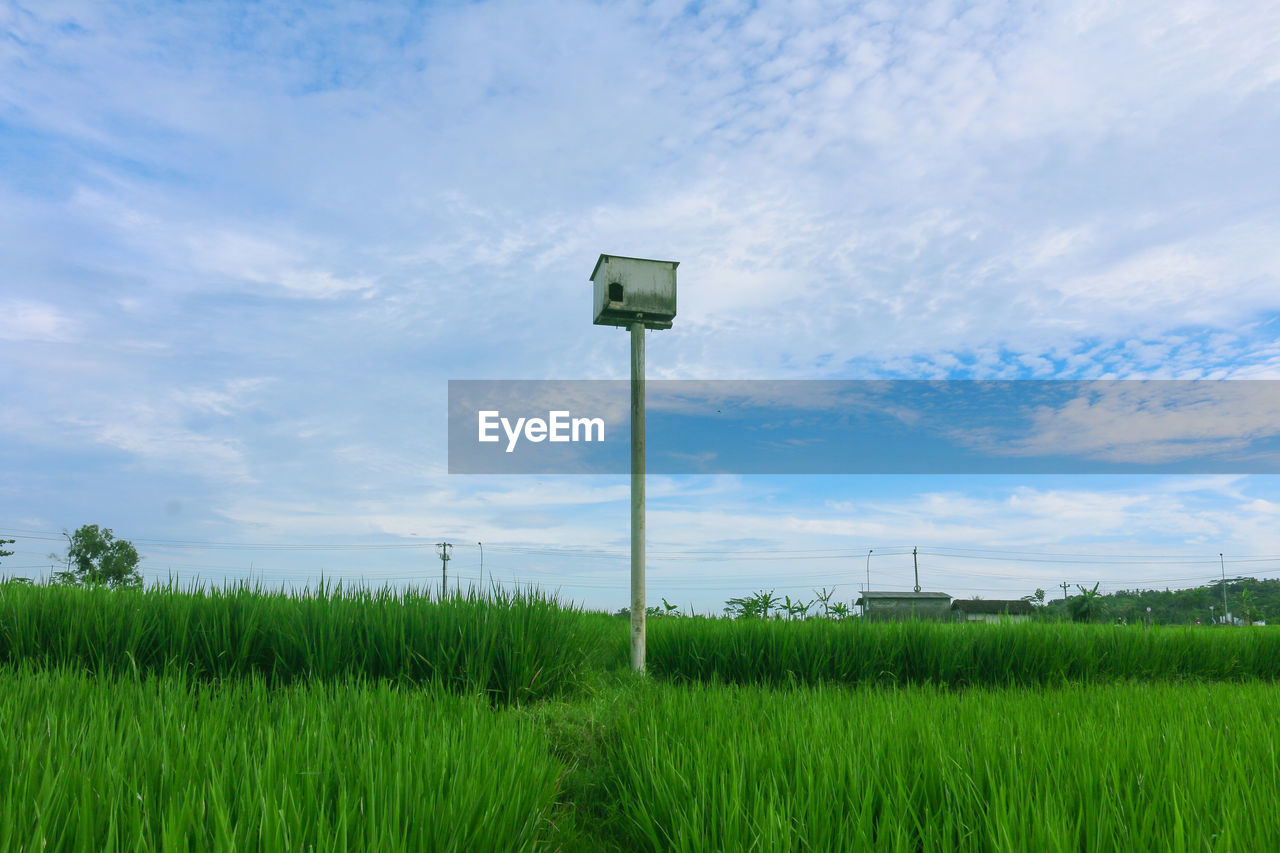 ROAD SIGN ON FIELD