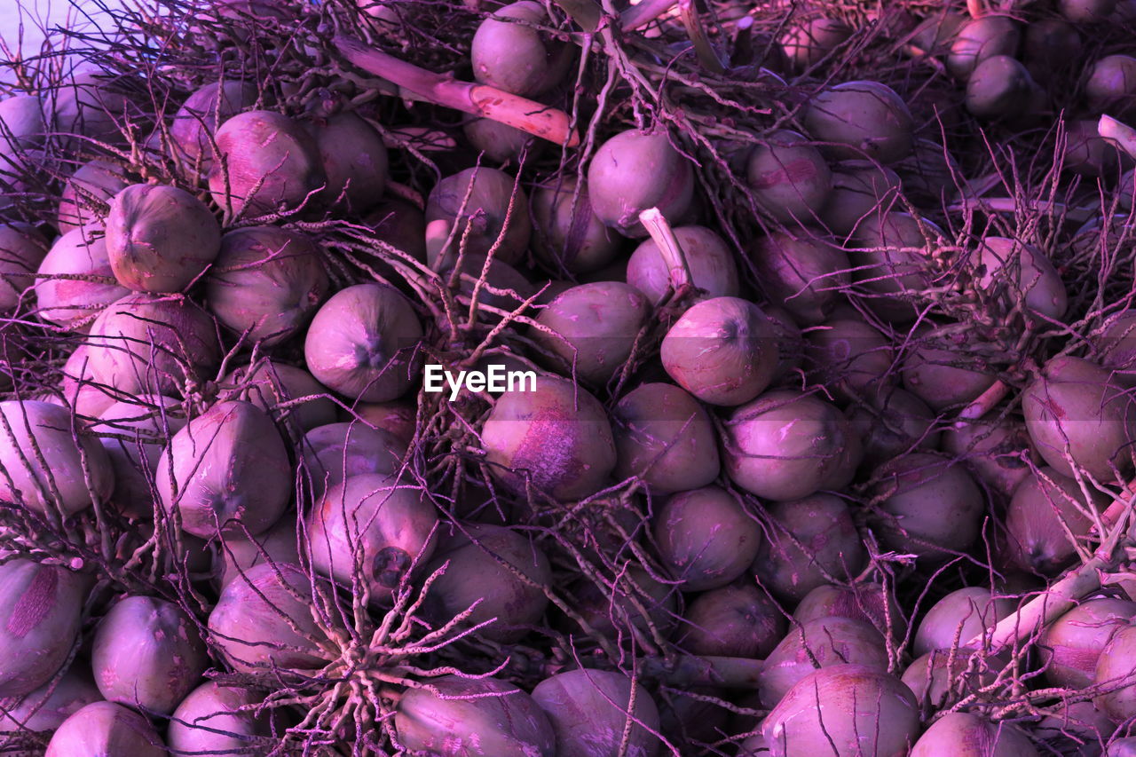 Full frame shot of fresh coconut in market