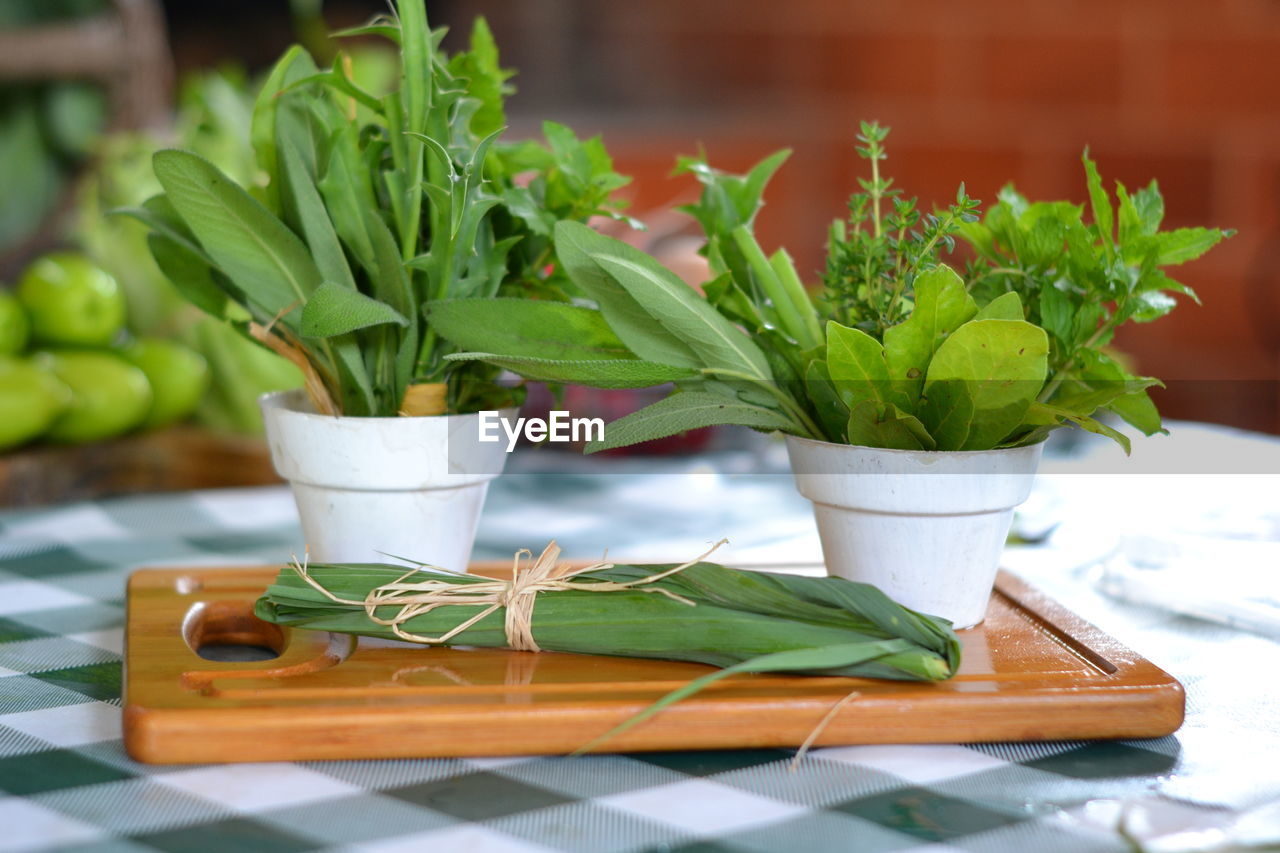 Close-up of potted plant on table