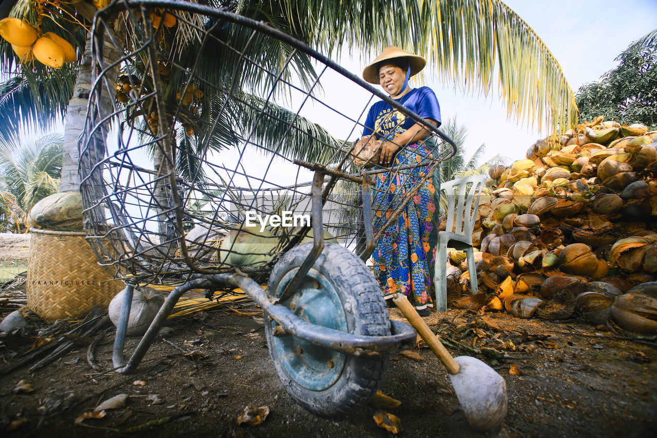 Full length of woman holding coconut while standing by cart on land