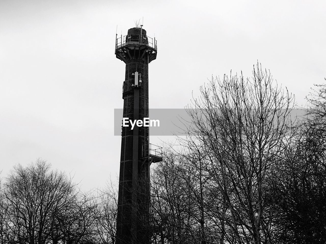 LOW ANGLE VIEW OF TOWER AND TREES AGAINST SKY