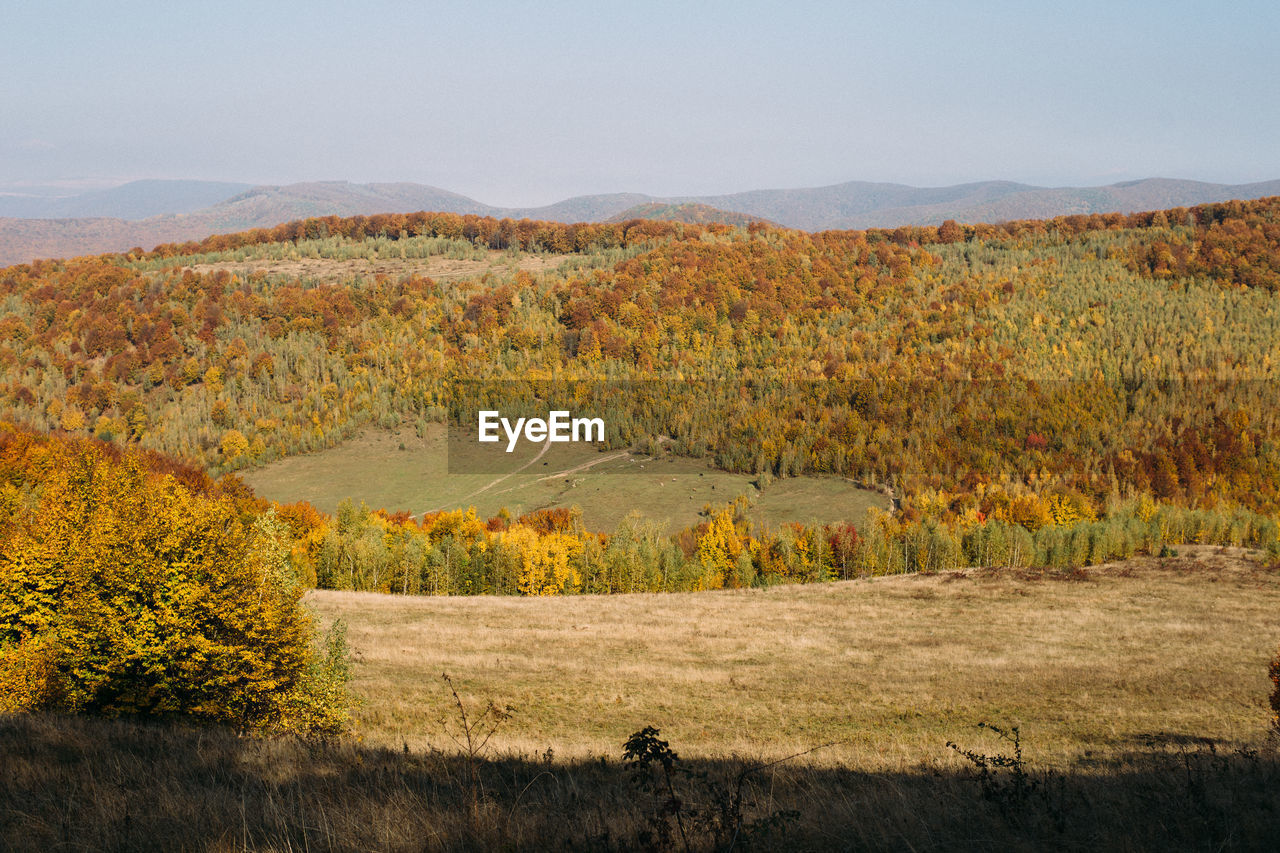 Colorful autumn landscape in mountains