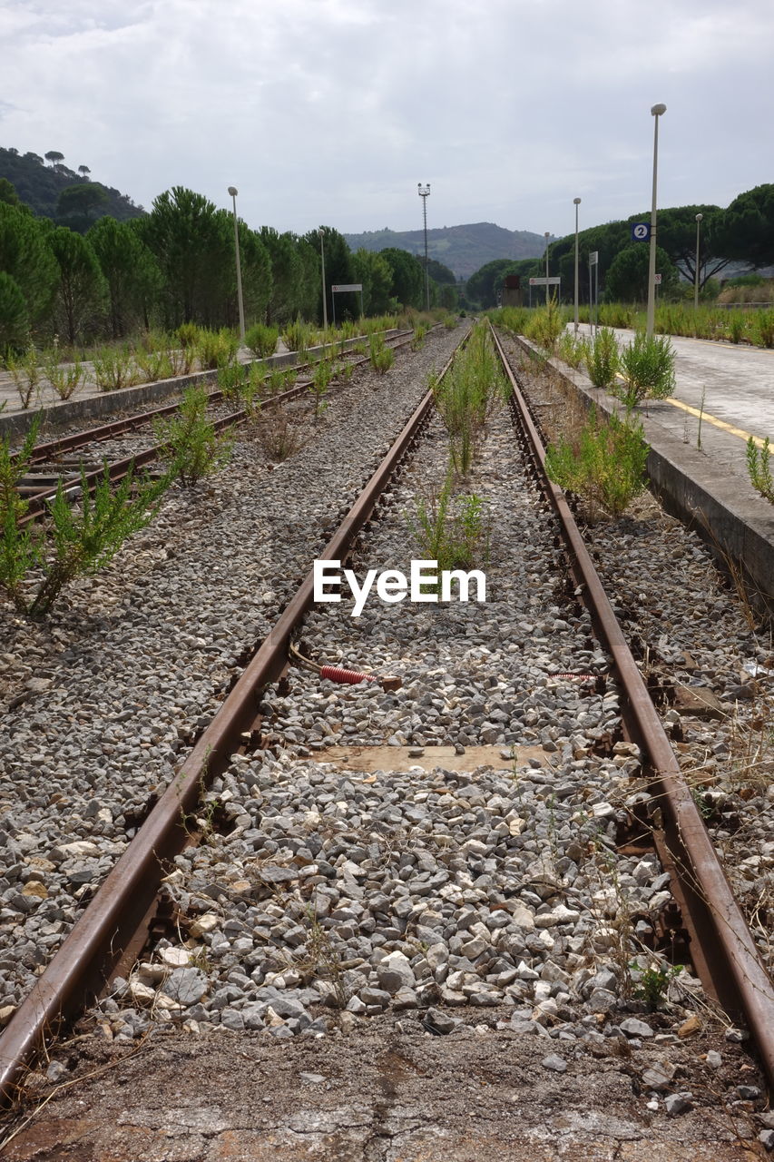 RAILROAD TRACKS ON ROAD