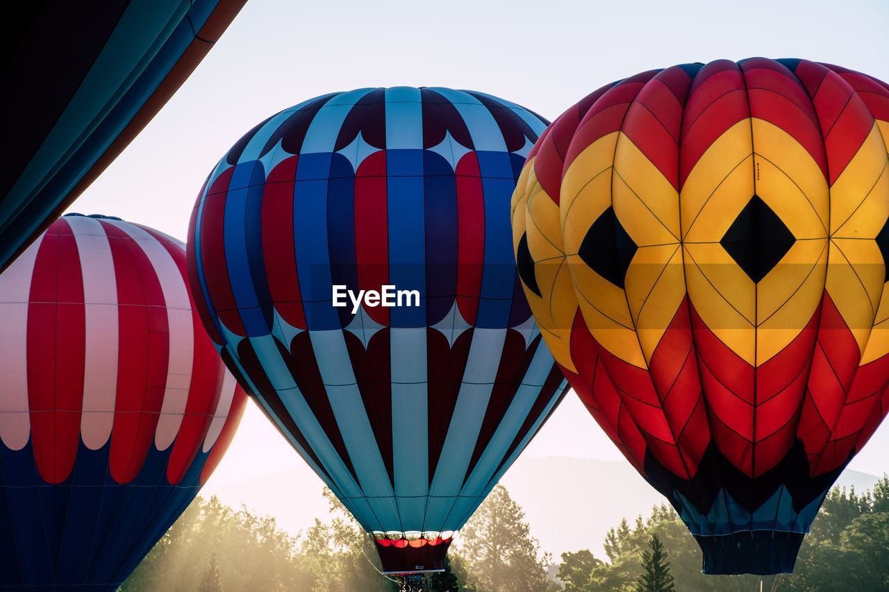 Hot air balloons in summer