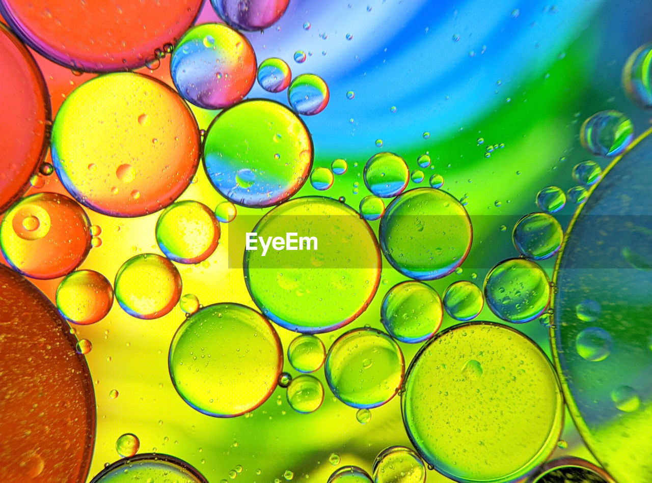 Colorful bubbles abstract background, oil bubbles in transparent liquid backdrop