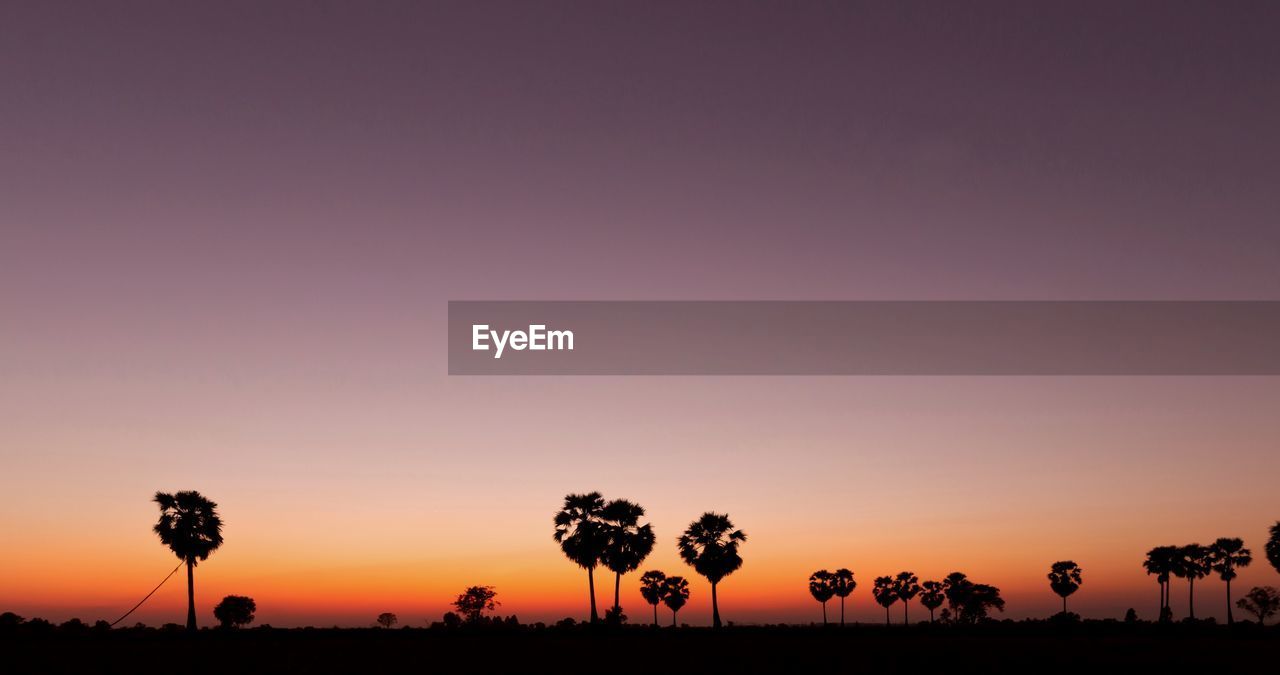 Silhouette trees on field against sky during sunset