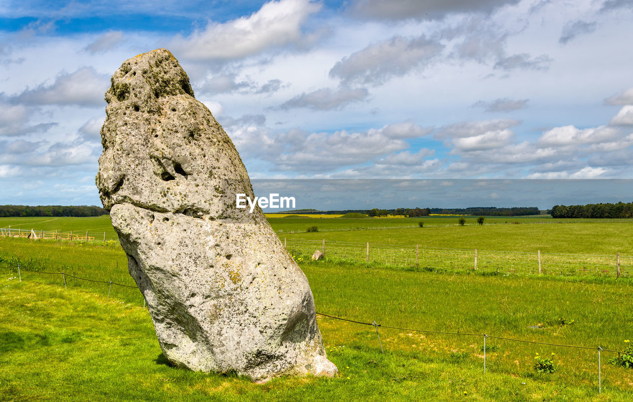 VIEW OF ROCK ON FIELD