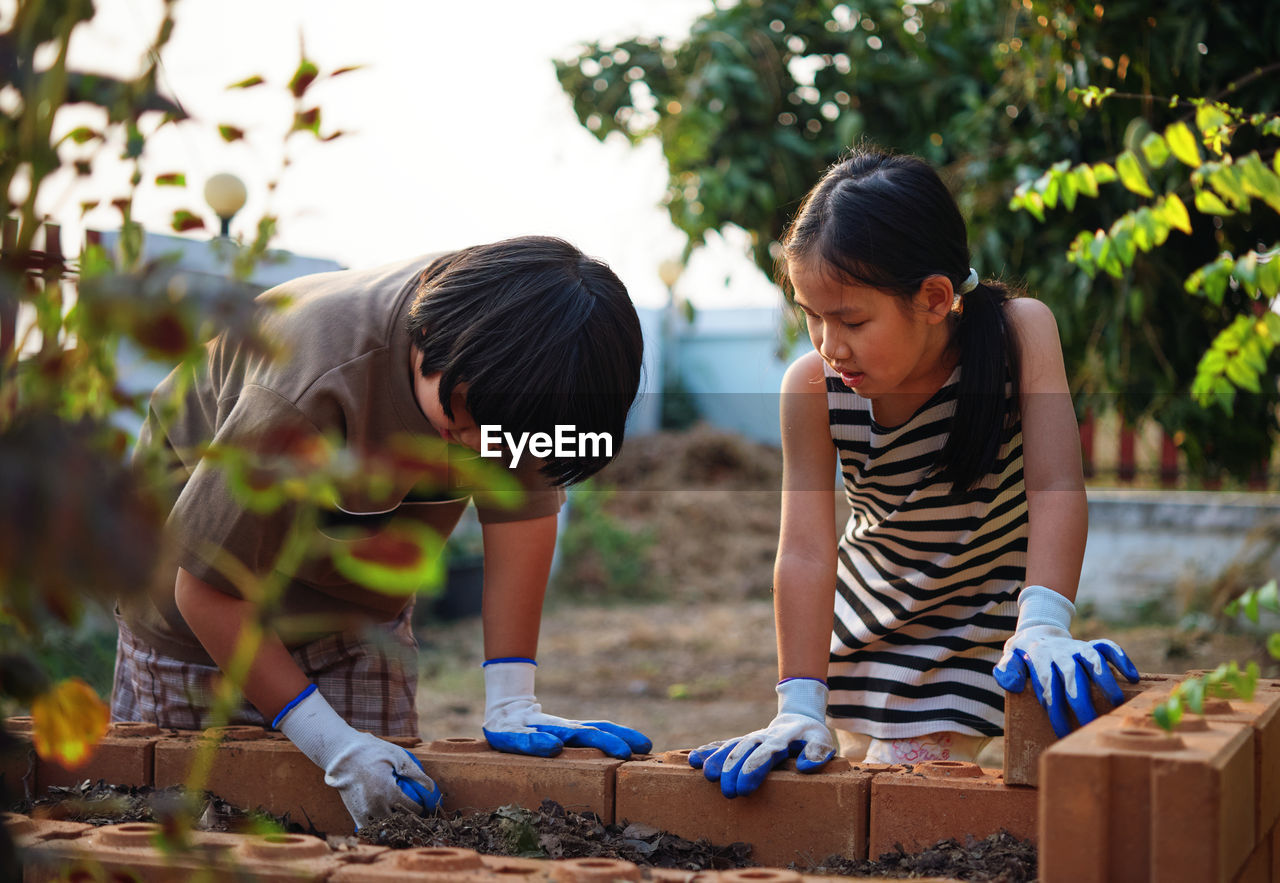 Siblings standing by flowerbed in yard