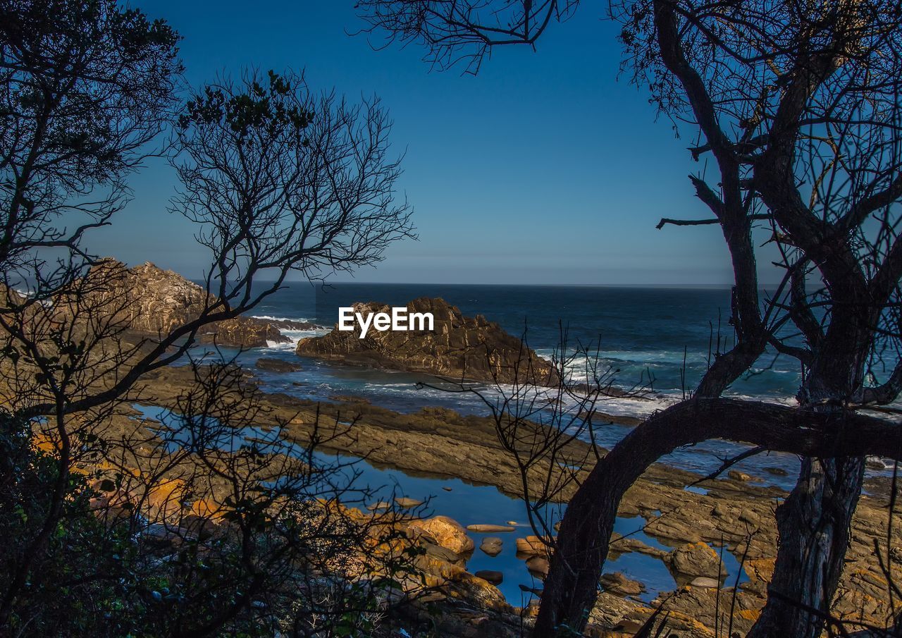 SCENIC VIEW OF BEACH AGAINST CLEAR BLUE SKY