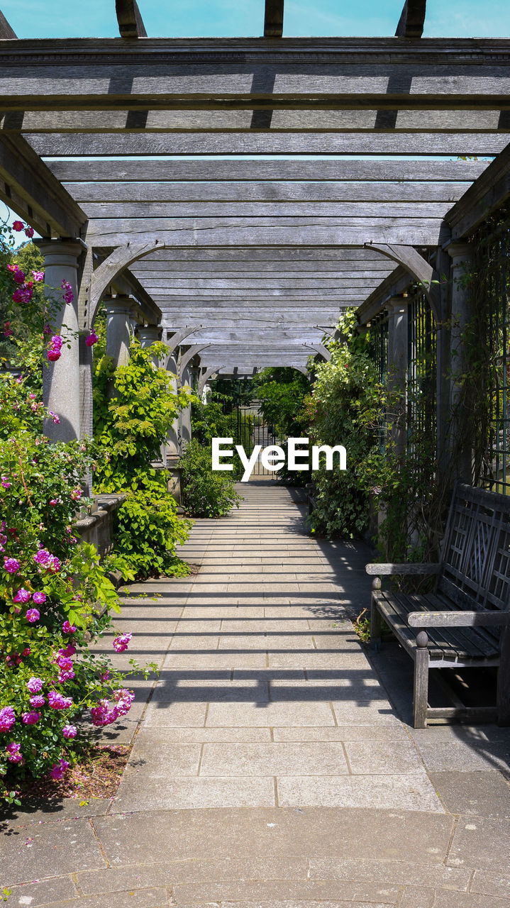 Footpath amidst flowering plants in park