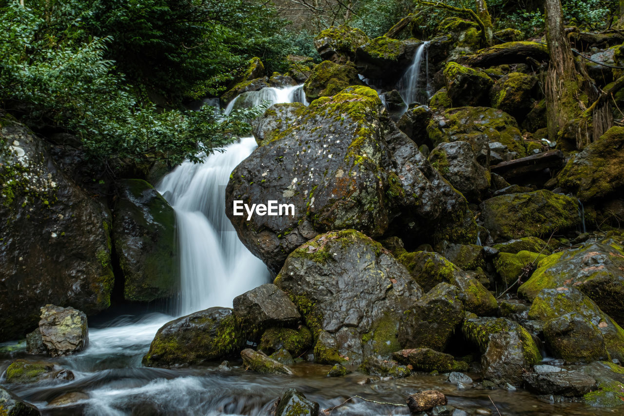 water, beauty in nature, waterfall, scenics - nature, stream, body of water, nature, tree, forest, plant, motion, rock, watercourse, environment, water feature, land, flowing water, autumn, rainforest, river, long exposure, moss, flowing, woodland, natural environment, creek, landscape, leaf, no people, outdoors, non-urban scene, wilderness, water resources, jungle, rapid, idyllic, social issues, blurred motion, travel destinations, tranquility, wet, green, growth, tranquil scene, environmental conservation, day, travel, tropical climate