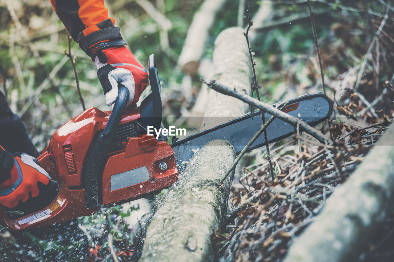 Man holding a chainsaw and cut trees. lumberjack at work gardener working outdoor in the forest.