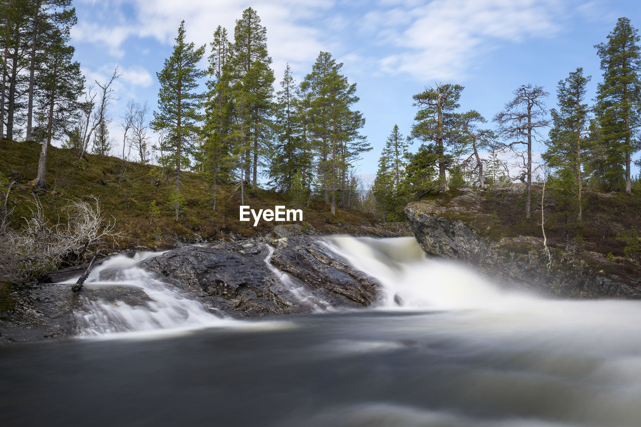 Scenic view of waterfall in forest against sky