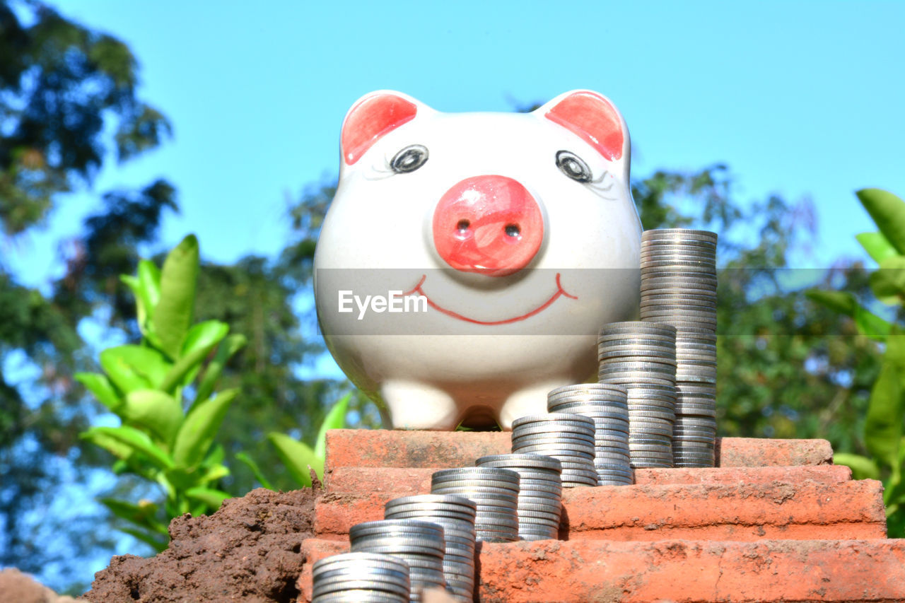 Close-up of piggy bank and coins